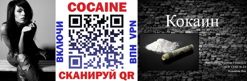 COCAIN Fish Scale  Купить где  Нижнеудинск 