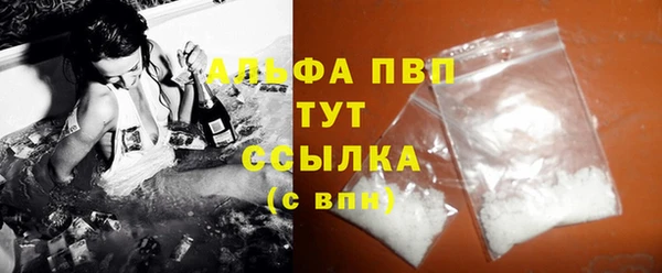 сатива Покачи