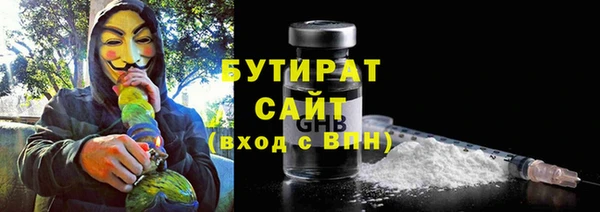 сатива Покачи
