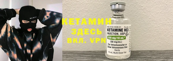 сатива Покачи