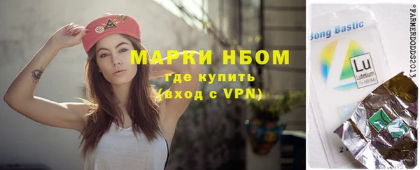 сатива Покачи
