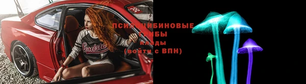 спайс Пролетарск