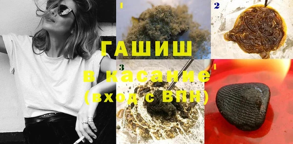 сатива Покачи