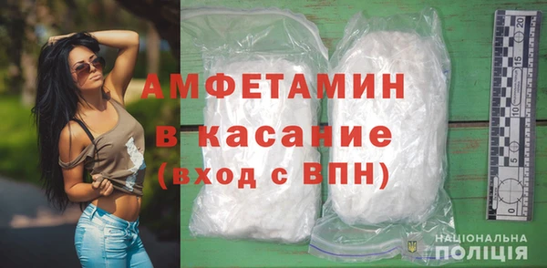 сатива Покачи